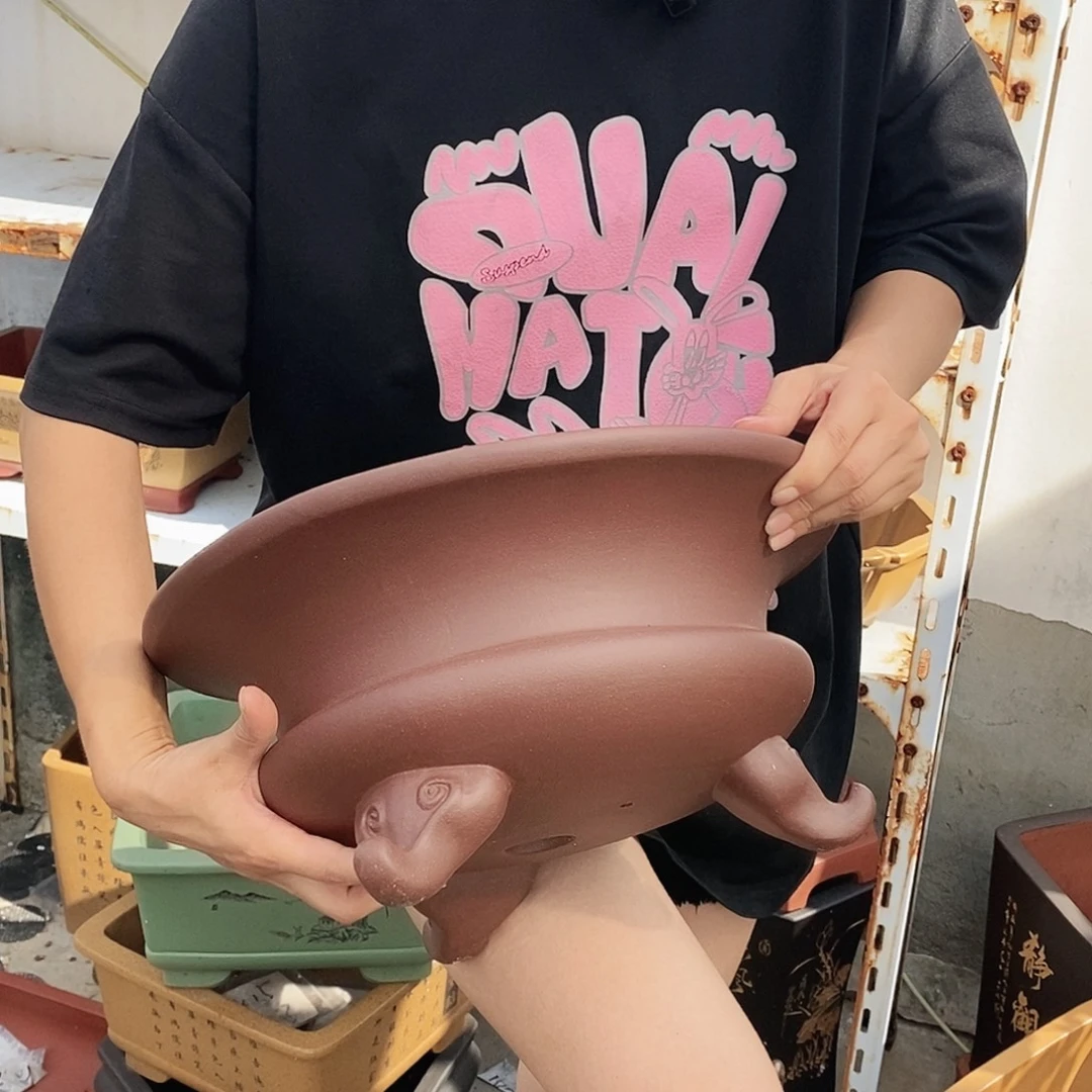 紫砂花盆紫砂花盆