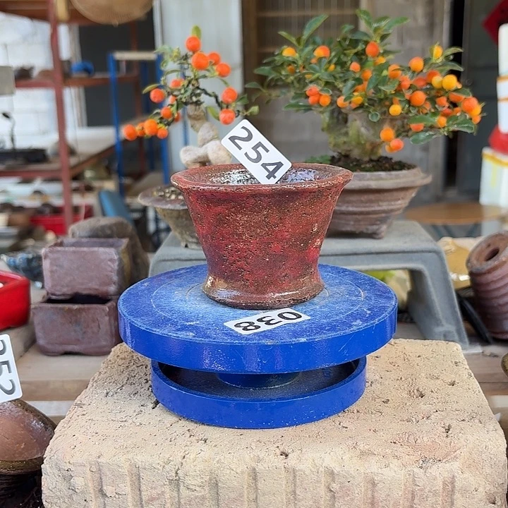 7.5x6/////////////254////