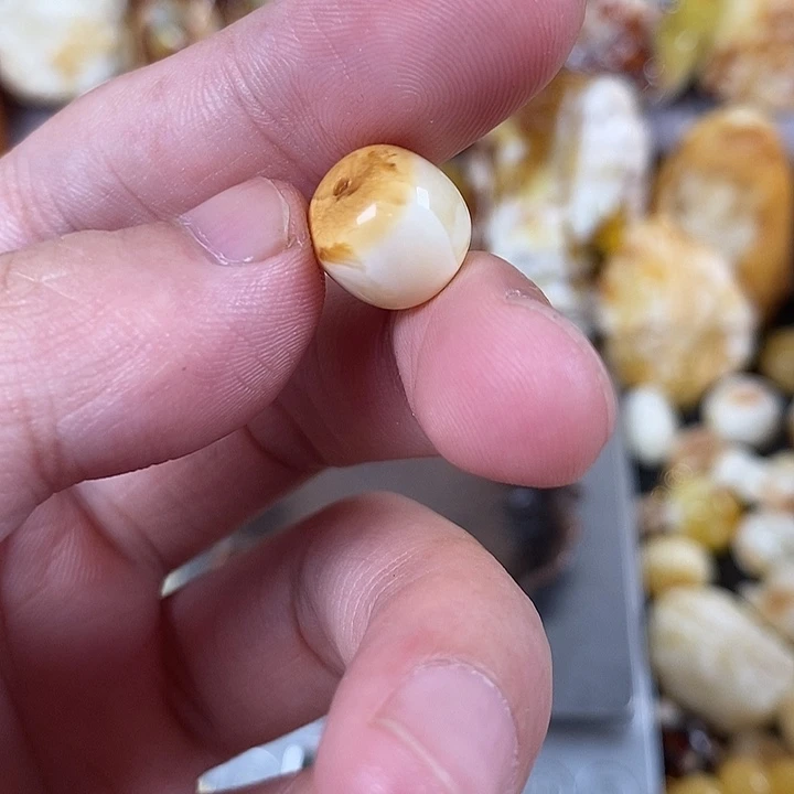 裸石琥珀未镶嵌我