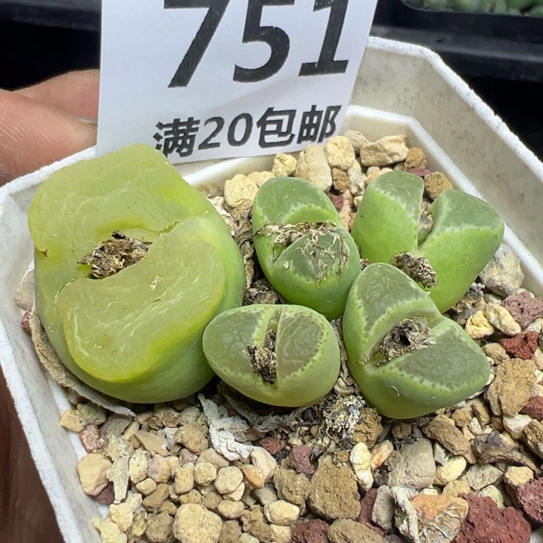 【闪购商品】 751。