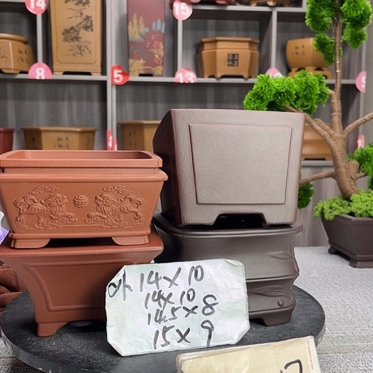 紫砂花盆紫砂花香