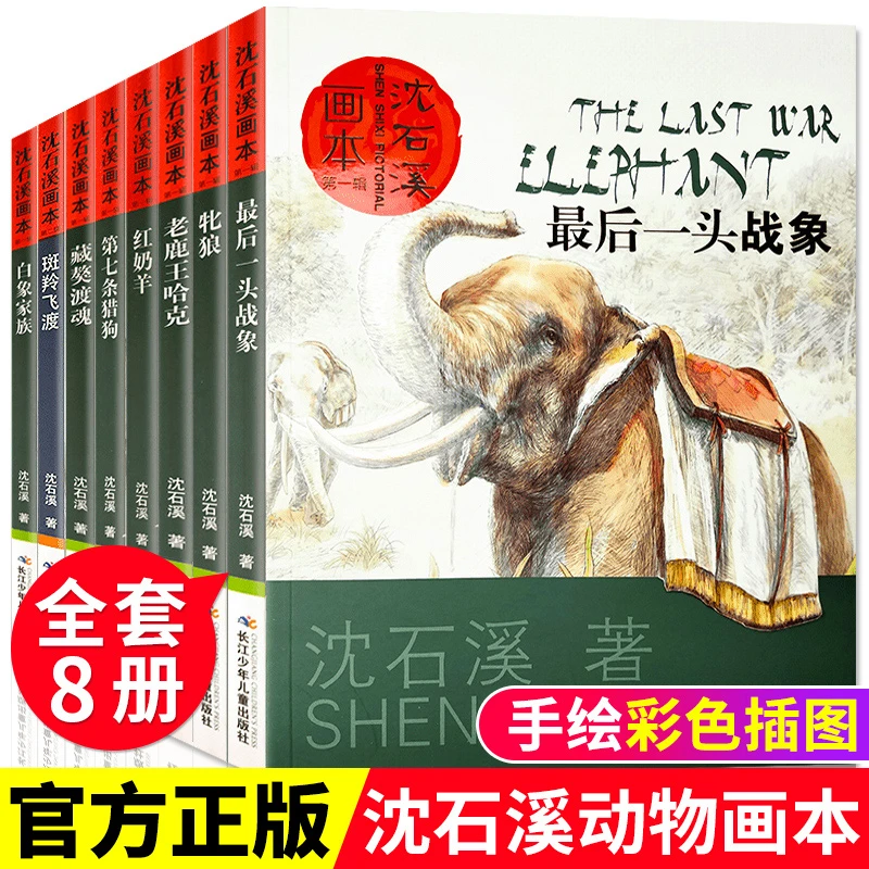 沈石溪动物小说画本系列 全套8册沈石溪绘本一头战象斑