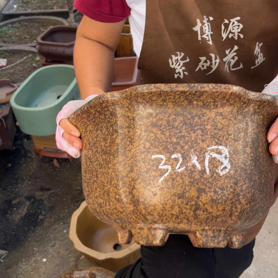 紫砂花盆盆景艺术