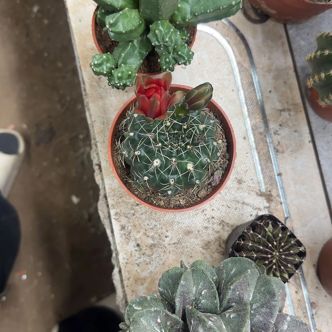 哈哈哈哈哈哈哈哈