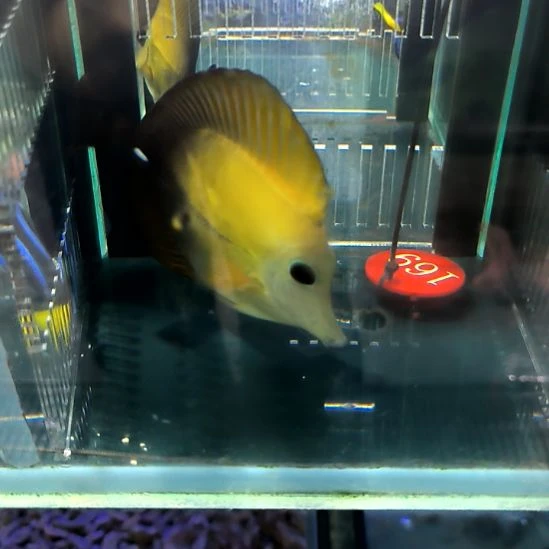 三角吊11+/5-44-169