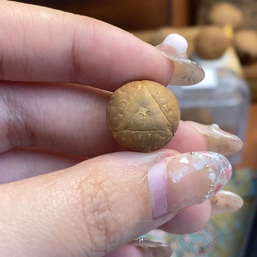 凤眼菩提吊坠龙眼