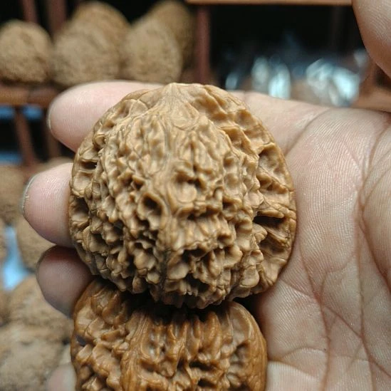 新***人完全开放南疆石核桃