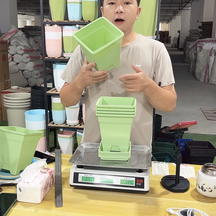 方盆口16高18果绿色5个带托