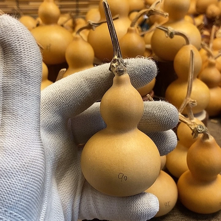 文玩葫芦 完美主义者 慎拍90