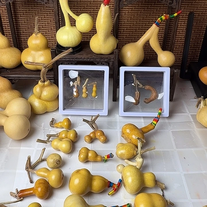 葫芦笙真的好好笑哈哈啊我真的想