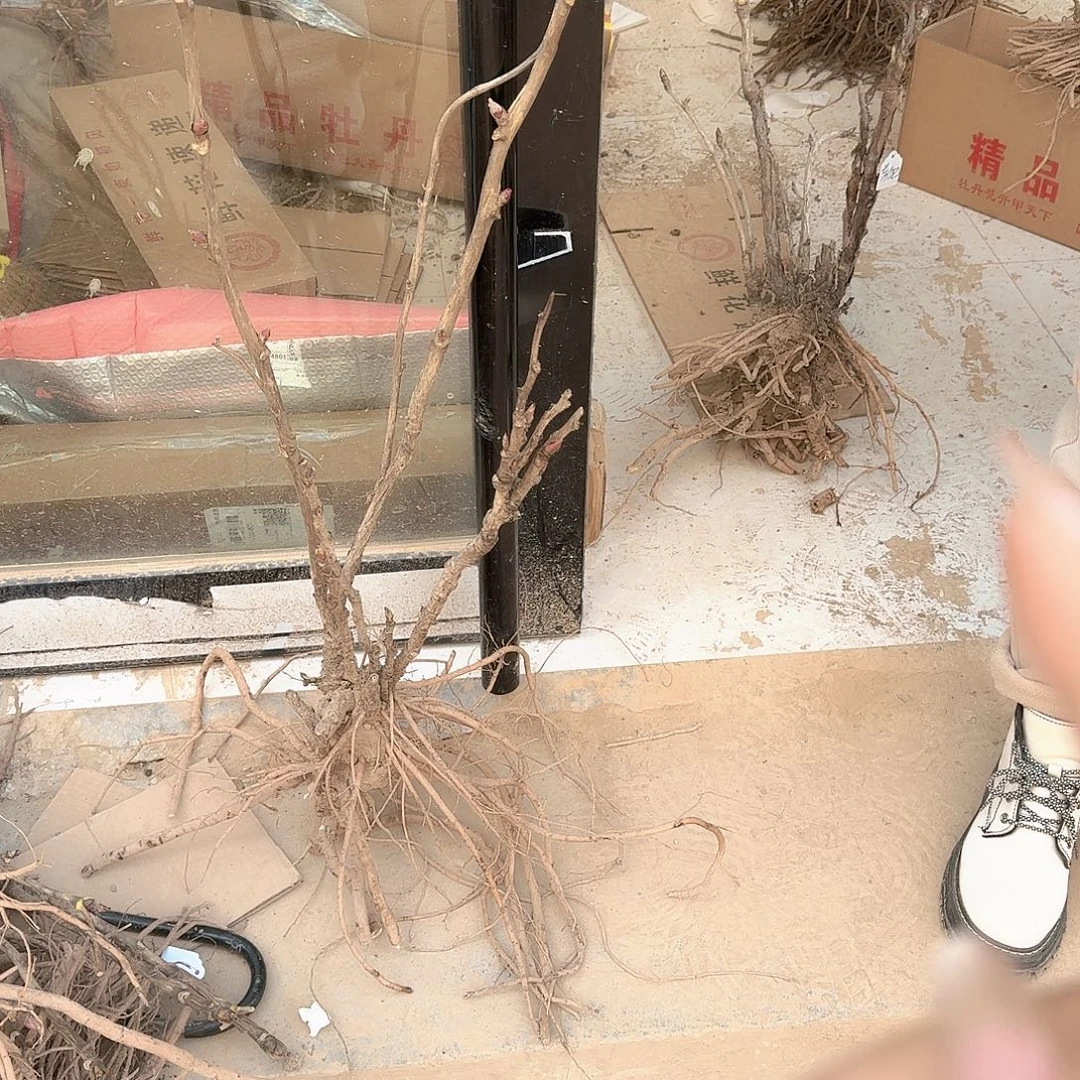 完全开放1111111111