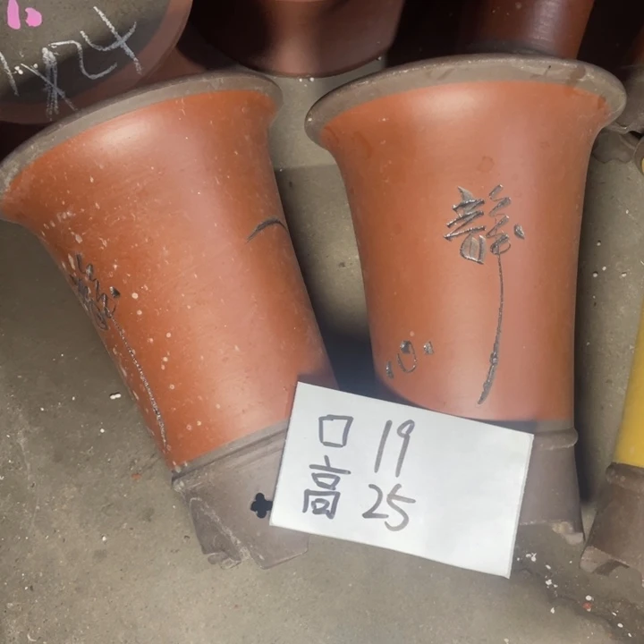 周深周深周深周深周深