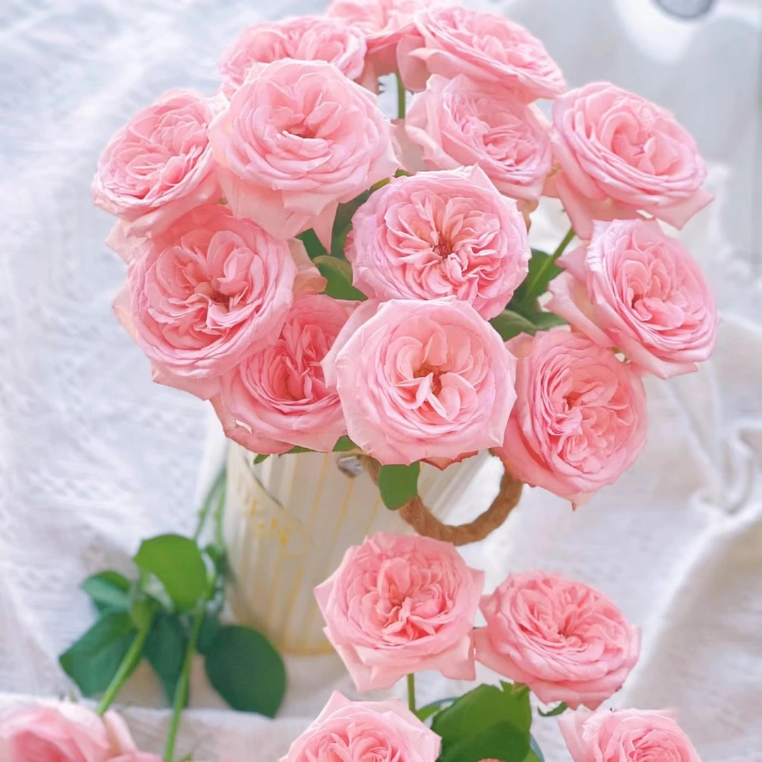 京东顺丰包邮，5朵A级，粉色荔枝玫瑰，同品质买贵包退。一单也包邮。