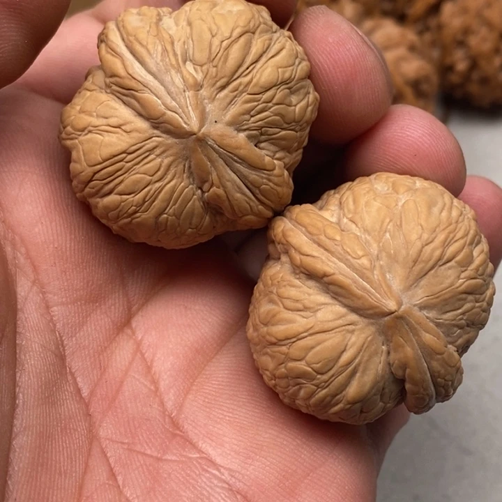 A***总文玩核桃吊坠舍利