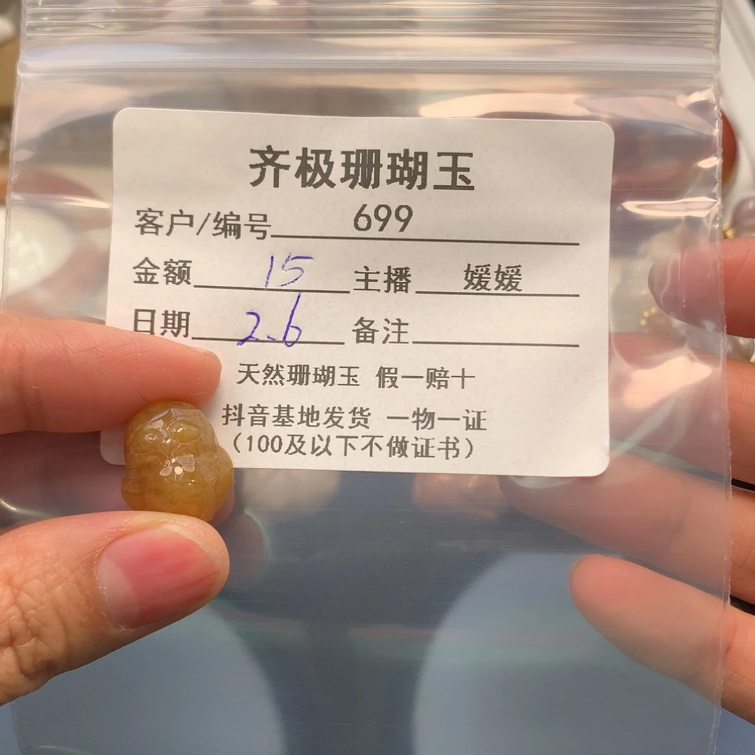 硅化珊瑚（珊瑚玉）颈饰未镶嵌悦