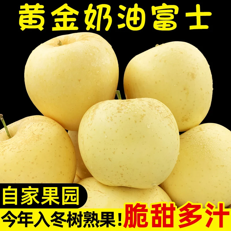 [黄金奶油富士]脆甜正宗山东烟台富士苹果新鲜应季当季水果整箱