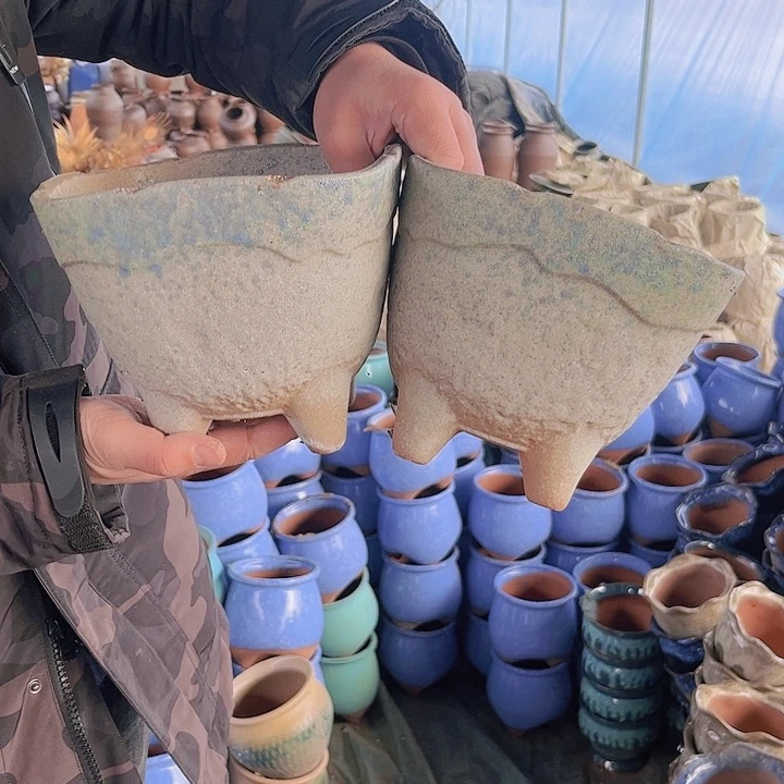 红陶128号15×17瑕11111