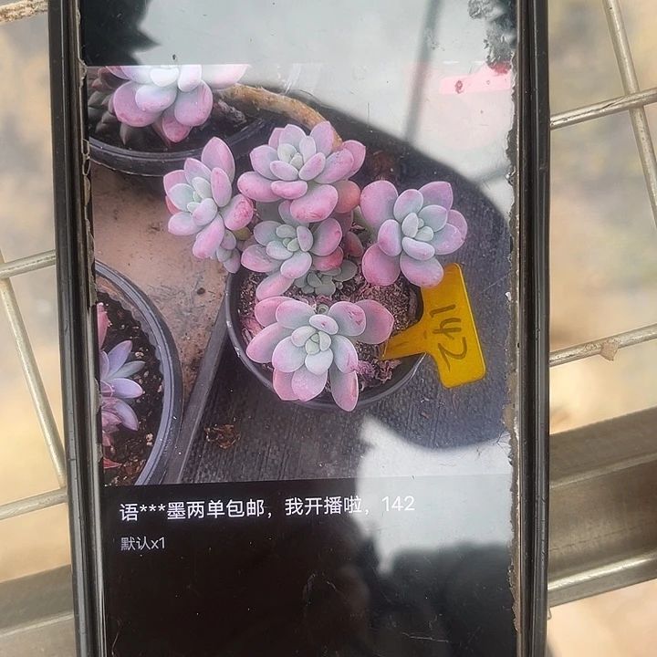 娅***娅不想看书不听别人不142