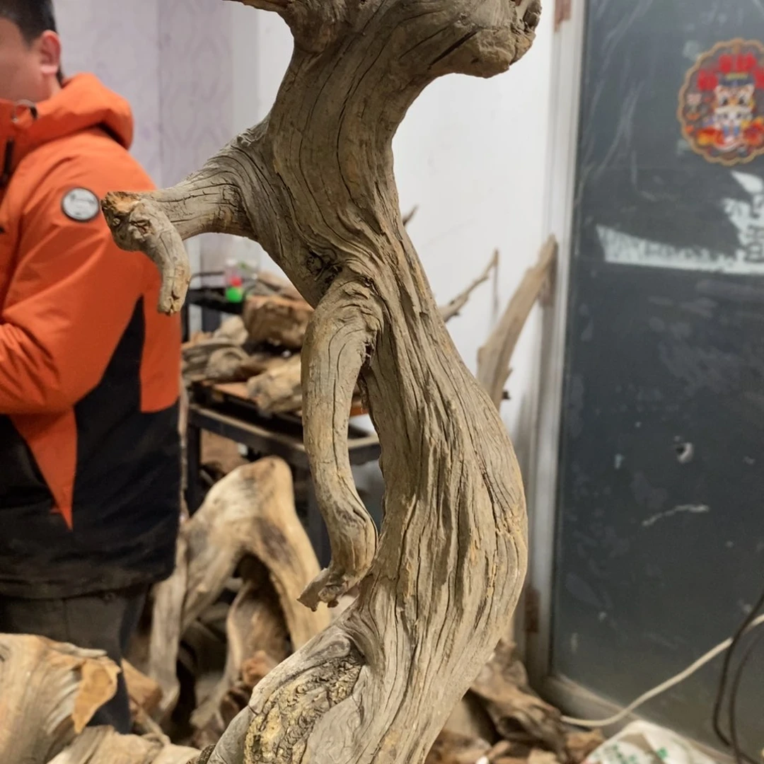 柏木古**香我们都是好孩子