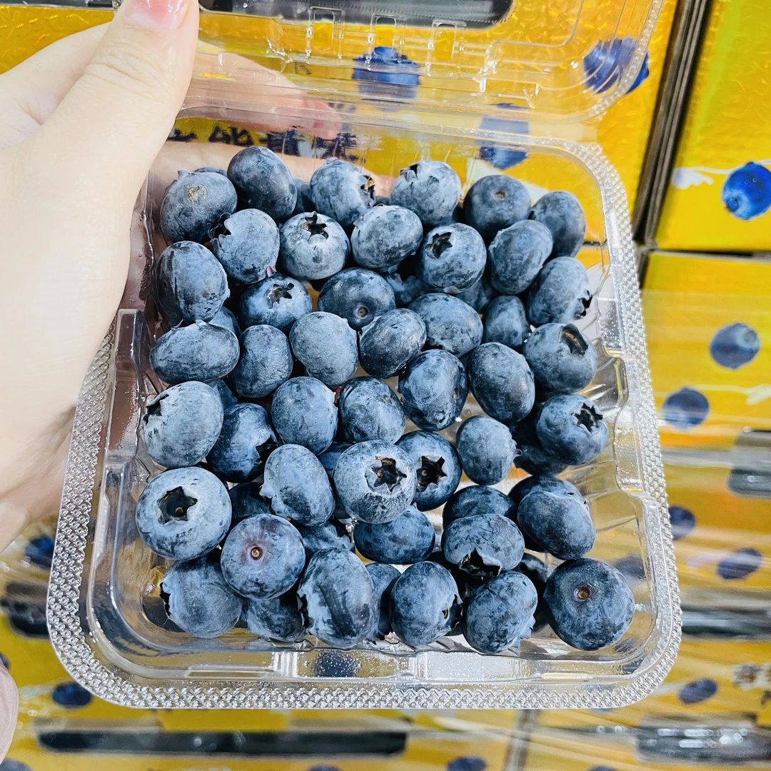12 新鲜蓝莓  口感硬脆  果霜饱满  单盒125g【只发河南省】