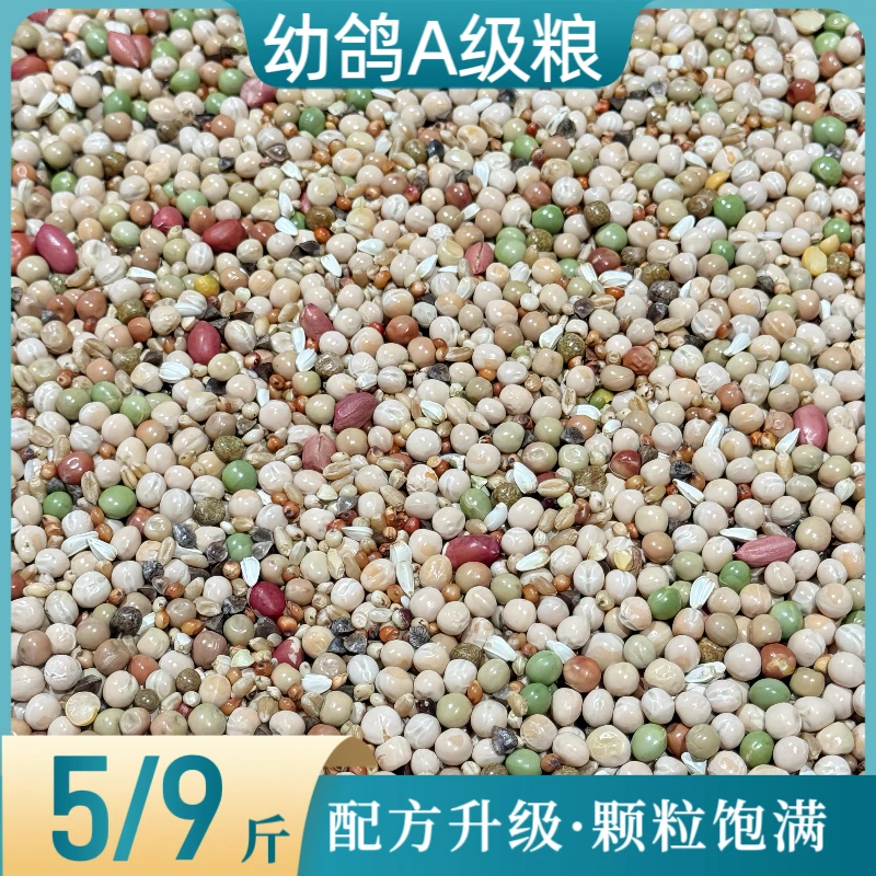 中信全能精品幼鸽A级粮5/9斤种鸽幼鸽肉鸽通用日常粮鸟食鸽子包邮