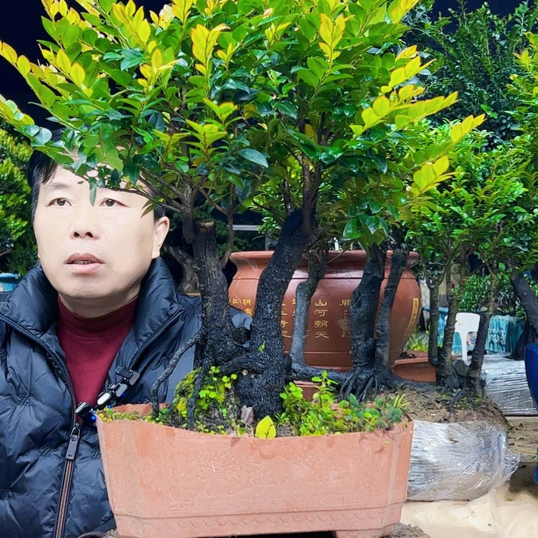 以实际为准张*12345678