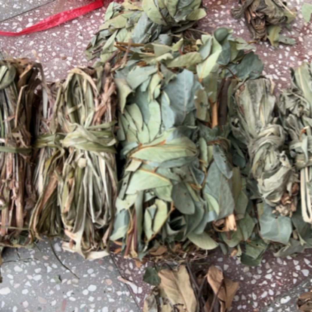 香藤苗枫姜苗石菖莆苗，金银花鱼腥草等多种作物（赶集代购）