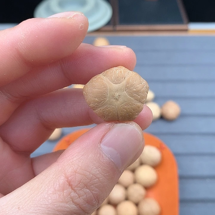 吊坠凤眼菩提23+五星，非质量问题开孔不退