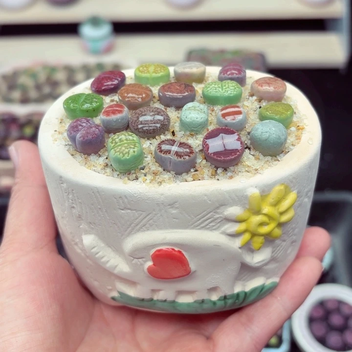 779零下地区记得拍保温箱