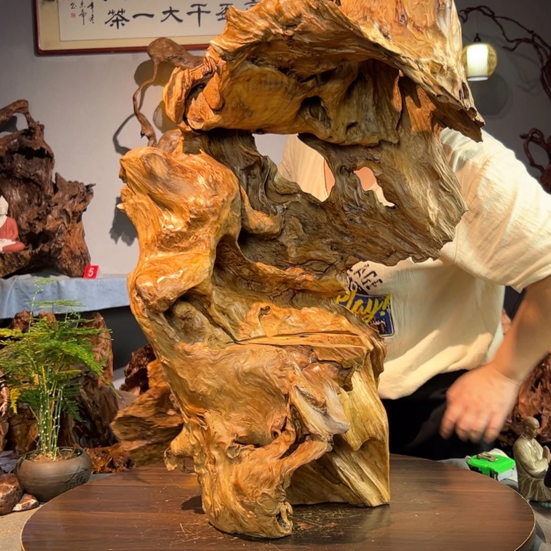 龙***朤香杉木997aaaaaaaaaas