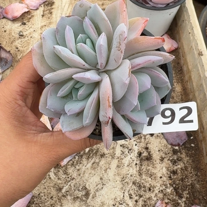 盼***盼792快乐咯路，天，他u我还是跨栏