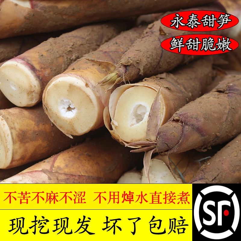 福建福州永泰甜笋黄尖笋新鲜竹笋去壳现挖现剥新鲜到货包邮