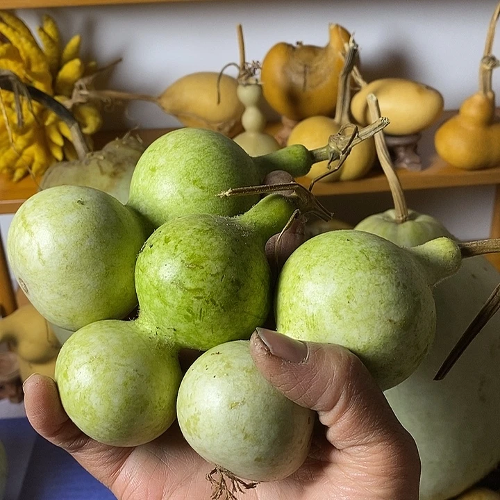 品***云葫芦手把件摆件葫芦