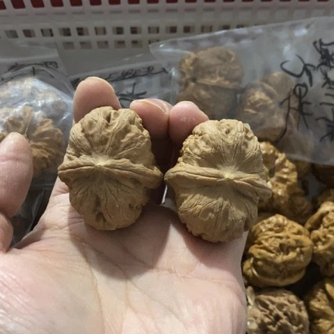 T***k文玩核桃把件哈哈哈