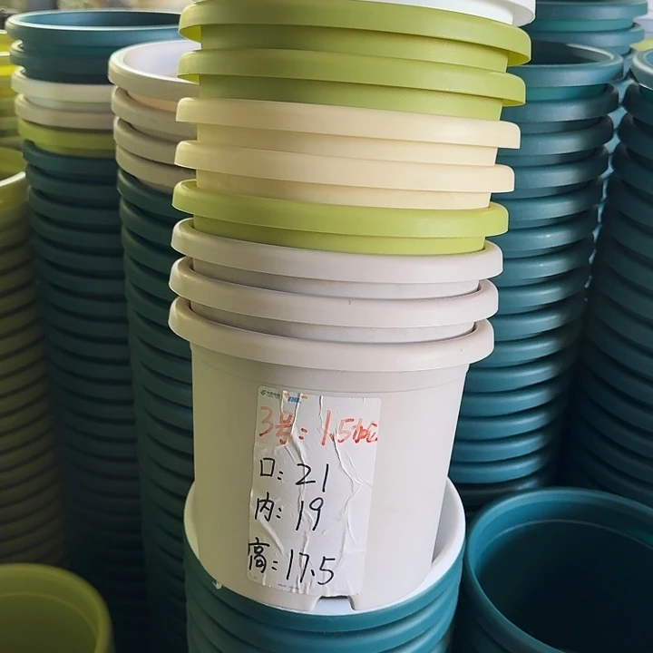 四季3#口径21果绿10个无托