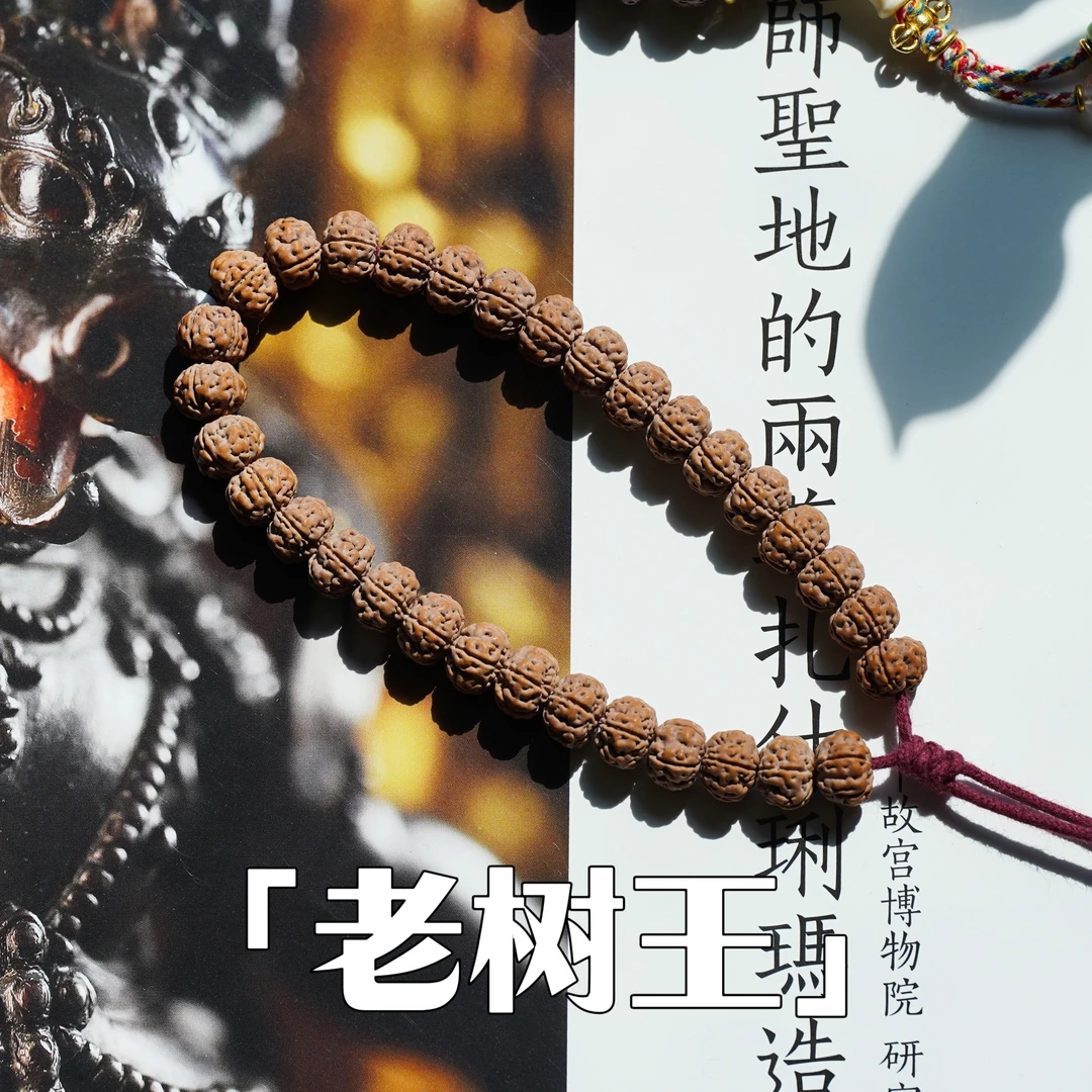 「纯血老树树王.超顶版」小金刚单圈手串