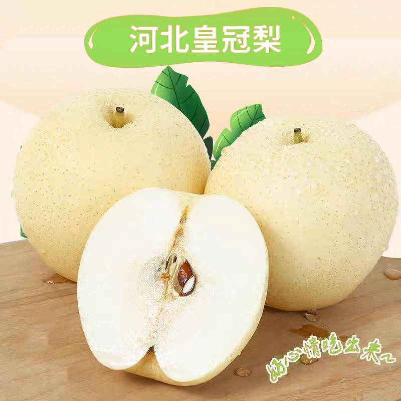 正宗河北皇冠梨脆甜可口五斤，十斤包邮非雪梨砀山梨