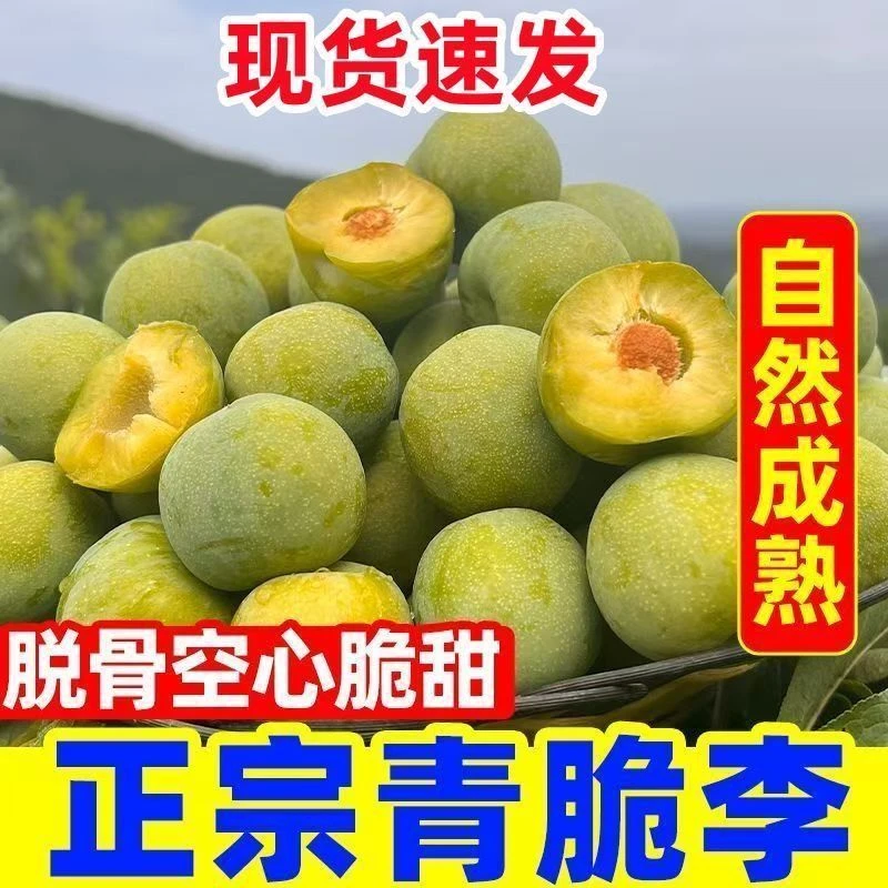 四川高山老树青脆脱骨李半边红5斤装 长沙红星一级批发直发 重庆市