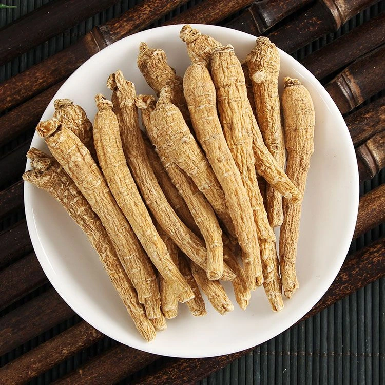 大山里的山货   西洋参