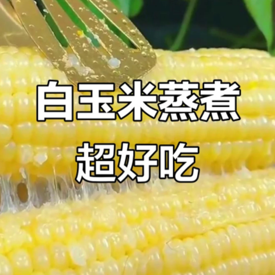2025东北新粘玉米8穗白包邮