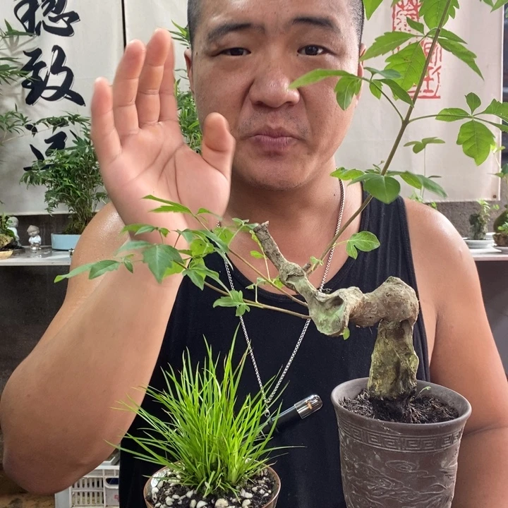 无花朵退款拉黑拉黑17