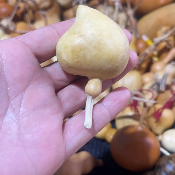 新***6葫芦哈哈哈哈哈哈哈哈