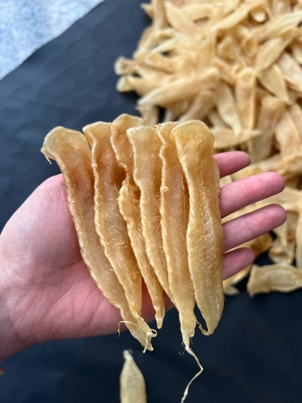 鱼胶白花胶赤嘴胶各种胶