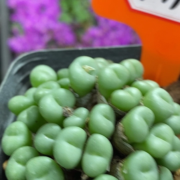 今天晚上不回家吗今天7047