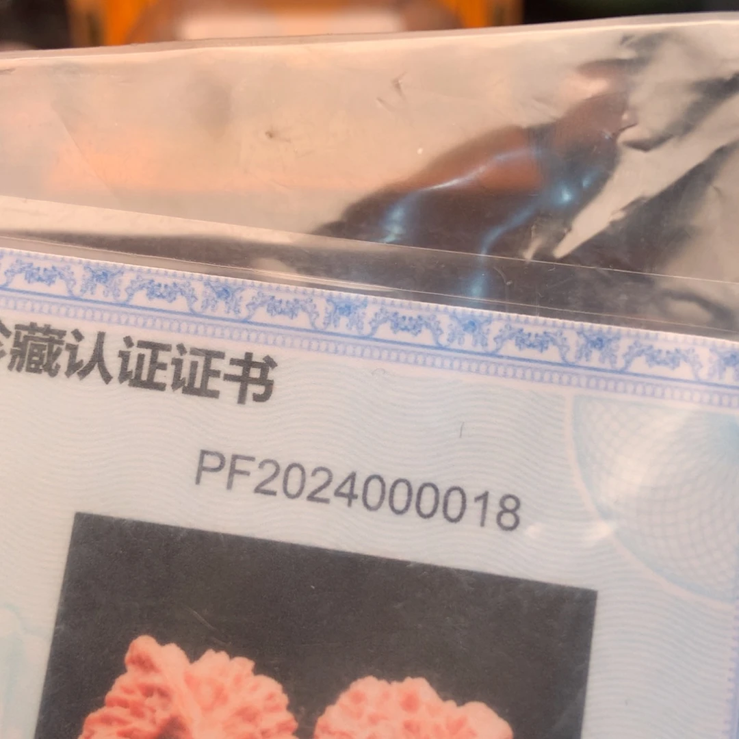 文玩核桃把件40秦闷