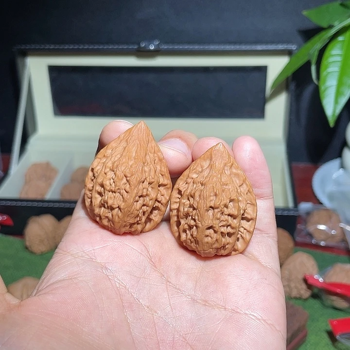 故***辞把件文玩核桃32吸血鬼（保全品无修）