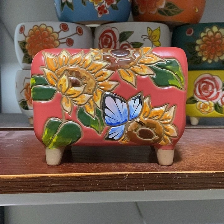 韩式多肉植物花盆