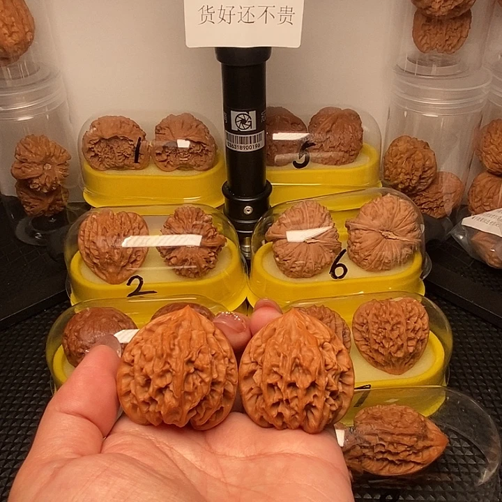 边肚高同尺 40 全家福