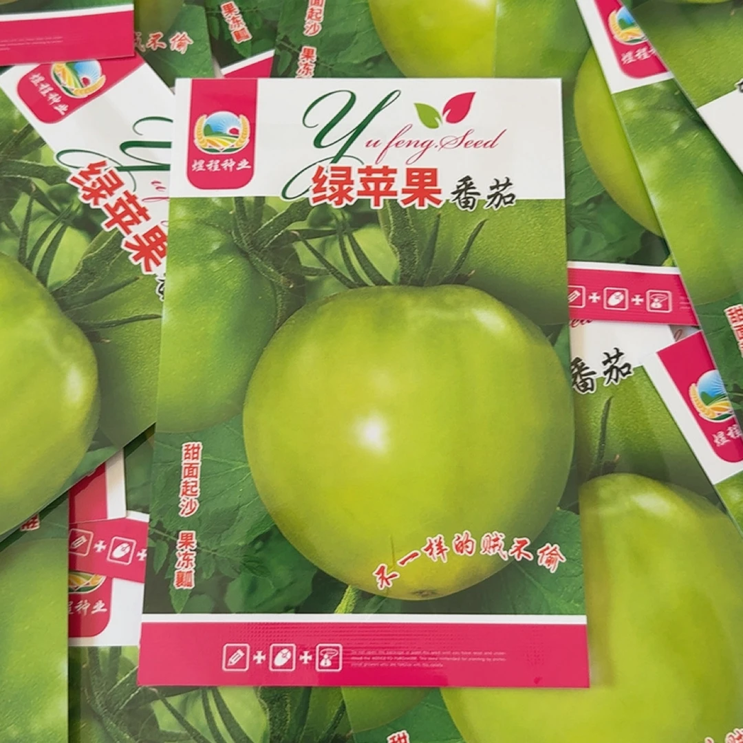 绿苹果番茄 柿子种子 200粒左右