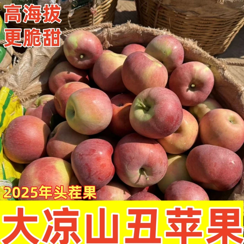 【正宗大凉山盐源丑苹果】高山现摘现发脆甜多汁2/5斤新鲜好水果